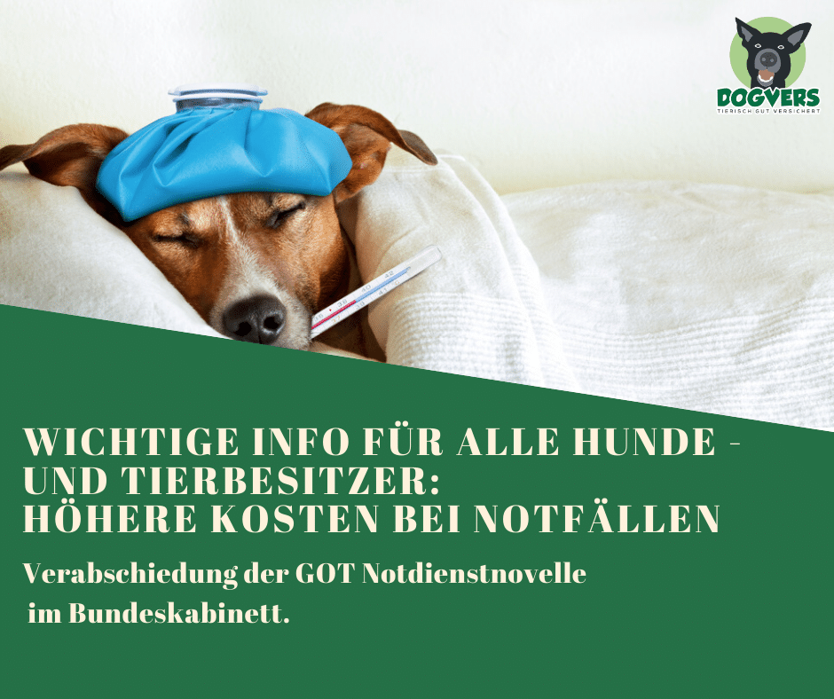 DOGVERS-Blog 24 Höhere Kosten beim Tierarzt außerhalb der Sprechzeiten