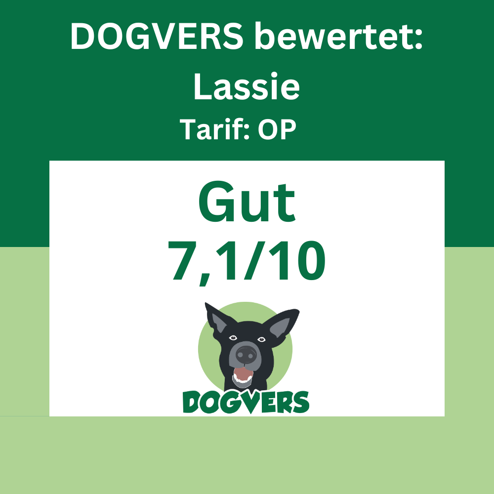 Lassie HundeOP Bewertung Lassie HundeOP Bewertung