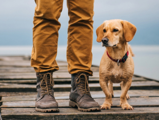 1_AdobeStock_116404233_1_2 (1) 1 AdobeStock 116404233 1 2 1