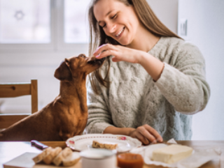 Hunderatgeber-Hundeernaehrung-Hund-wird-am-tisch-gefuettert (2) Hunderatgeber Hundeernaehrung Hund wird am tisch gefuettert 2