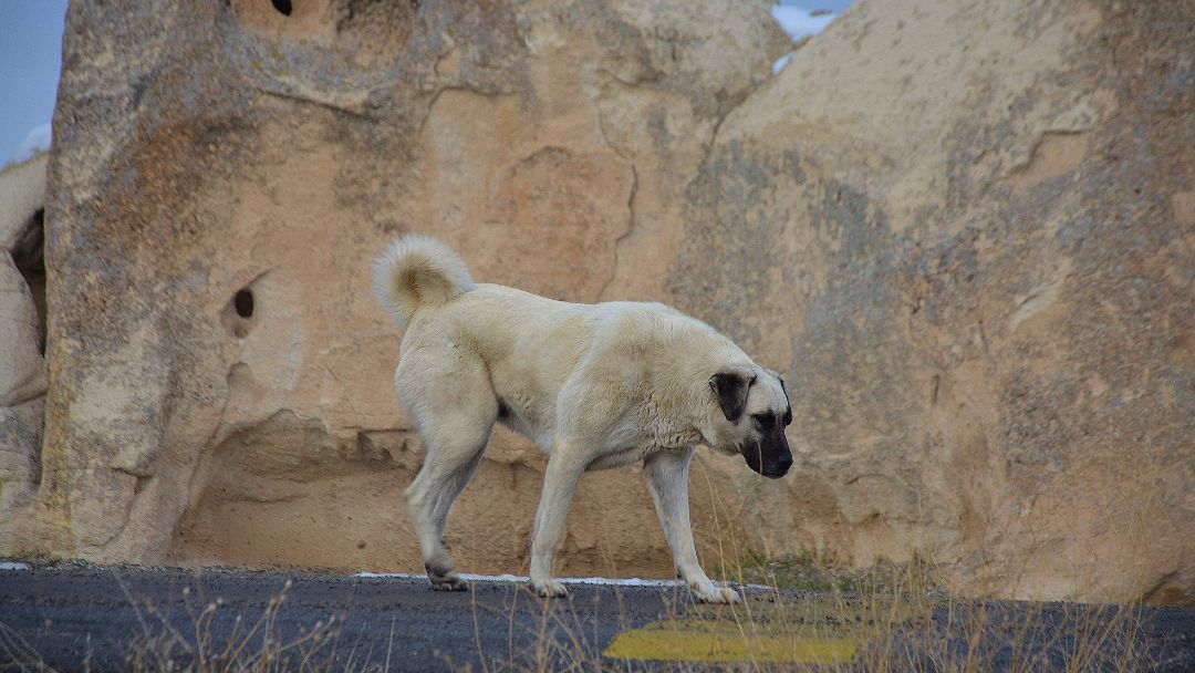 Kangal-türkische-Berge Kangal in der Kappadokien-Bergformation in der Türkei