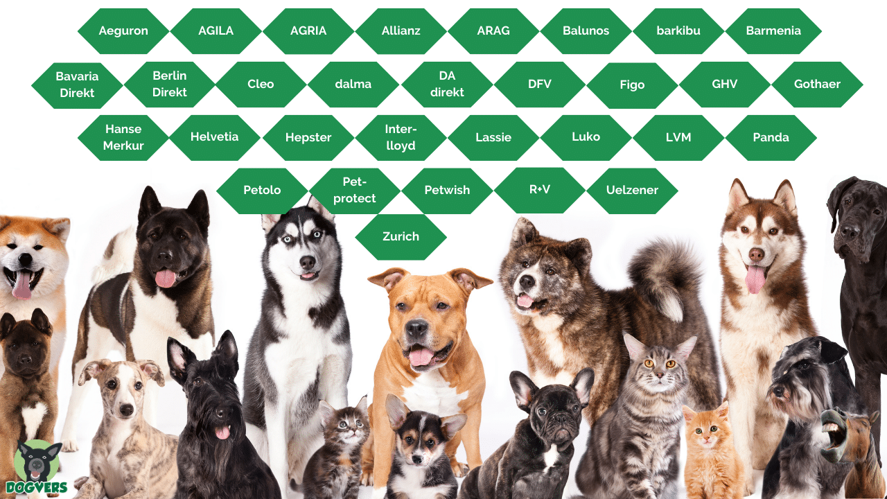 bd60c727-6c1c-46bf-b30a-bce745d0985b bd60c727 6c1c 46bf b30a bce745d0985b