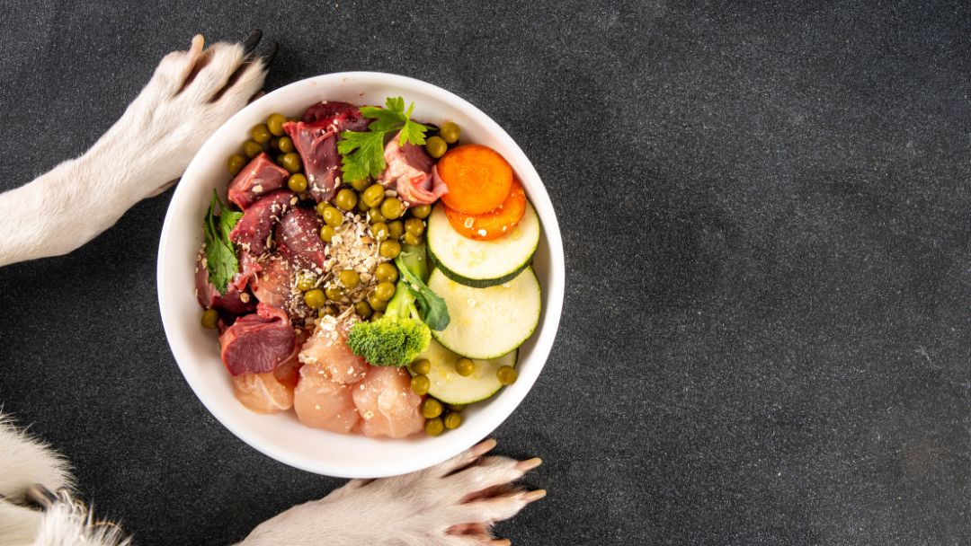 hundeernährung-barf BARF, Hundefutter, eine sehr gesunde und natürliche Form der Hundeernährung.