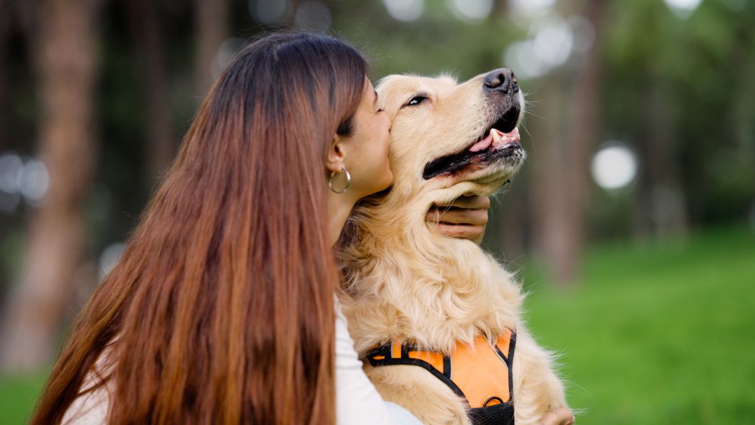 hundehaftpflicht-kündigen-fristen-muster Frau und Hund glücklich nach der Kündigung und wechseln auf eine neue Hundehaftpflicht.