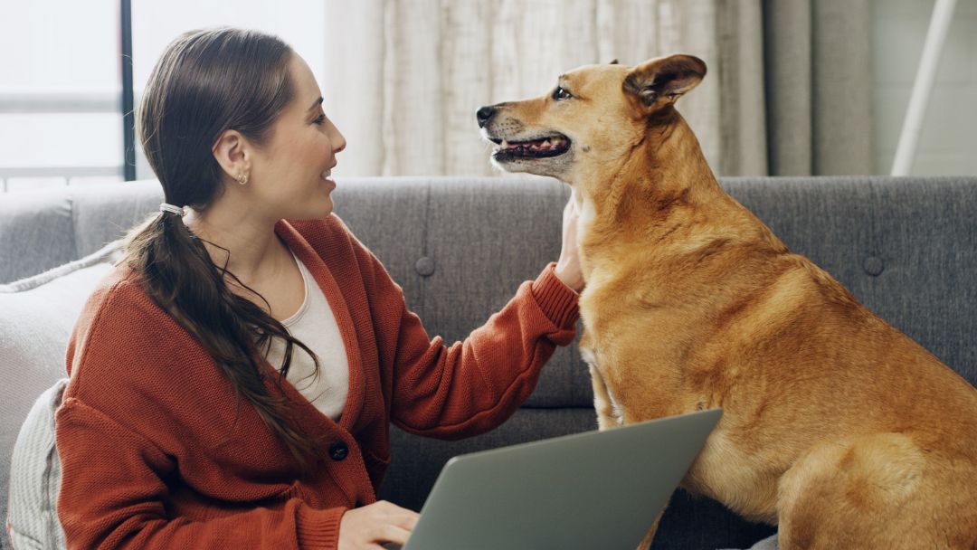 hundehaftpflicht-schaden-kosten Hundebesitzerin ist glücklich, weil sie erfolgreich einen Schaden bei der Hundehaftpflicht melden konnte und keine Kosten tragen muss.