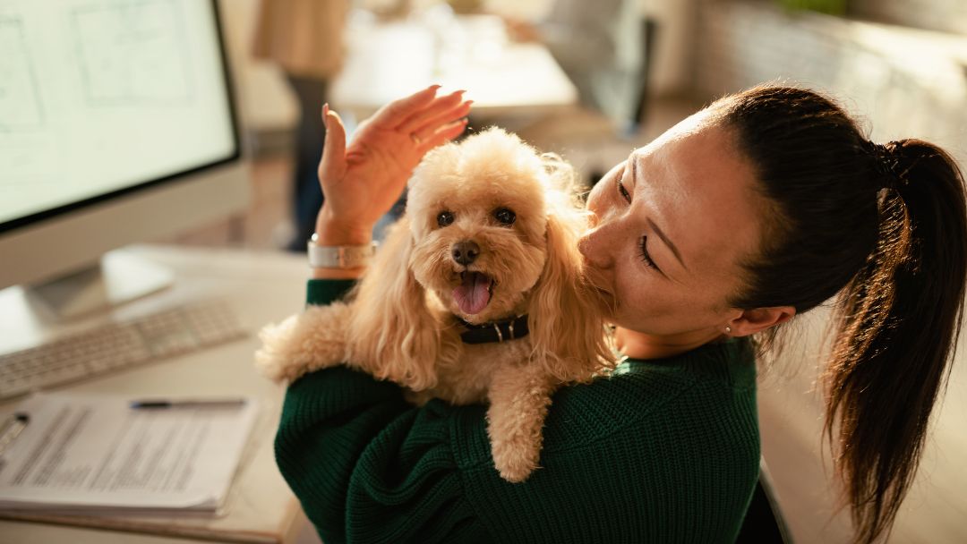 hundehaltung Hundehalterin mit glücklichen und gut erzogenem Hund