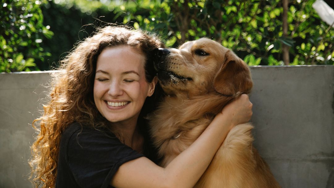 hundeversicherung Hundeversicherung