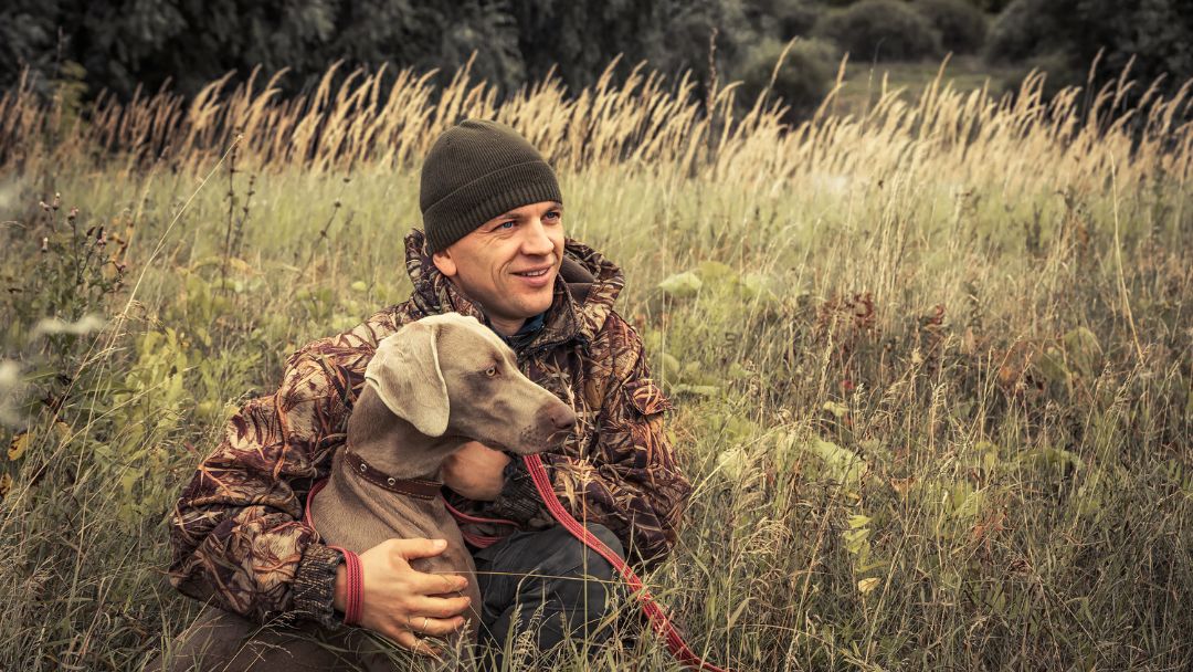 jagdhund-haftpflichtversicherung Beste Jagd-Haftpflichtversicherung für Jäger & Hund vergleich