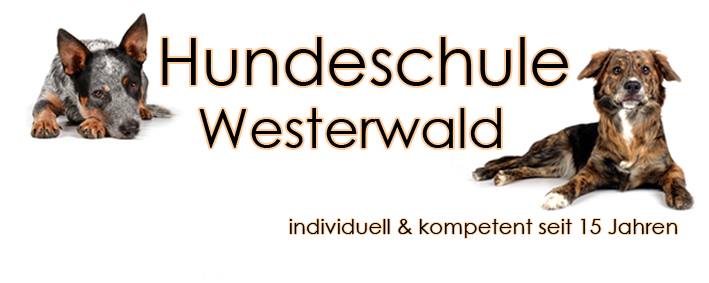 Tierversicherungen und Versicherungen für Hundeprofis 10 Partner