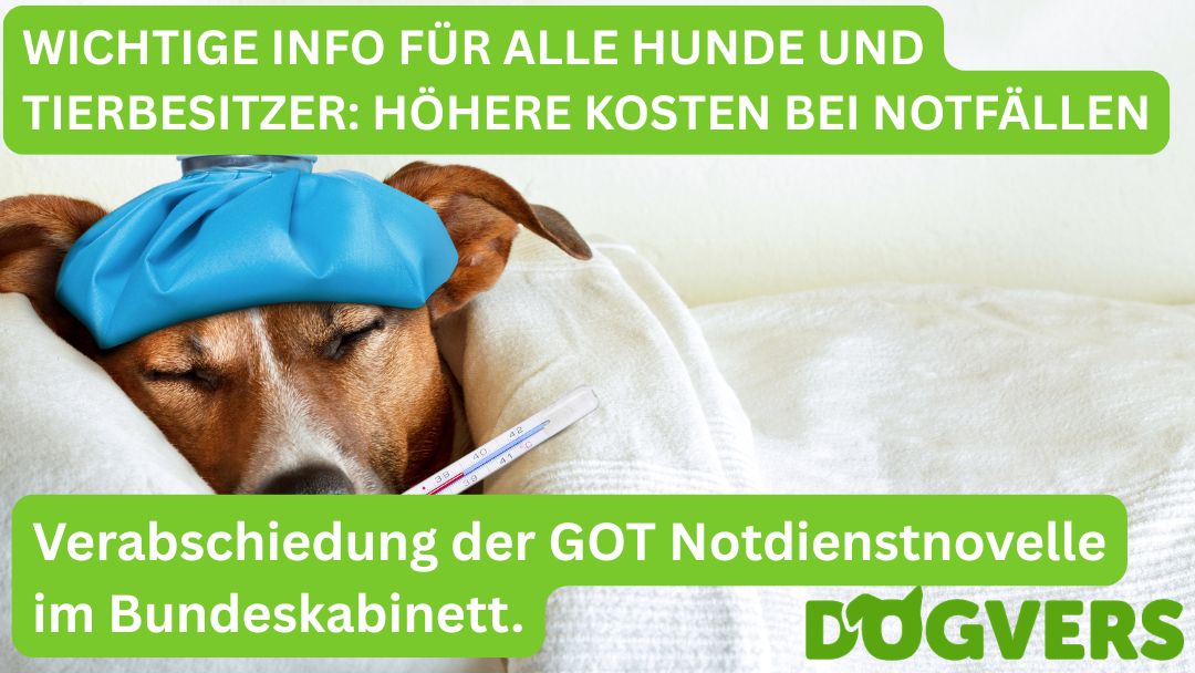 Verabschiedung-der-GOT-Notdienstnovelle Verabschiedung der GOT Notdienstnovelle im Bundeskabinett.