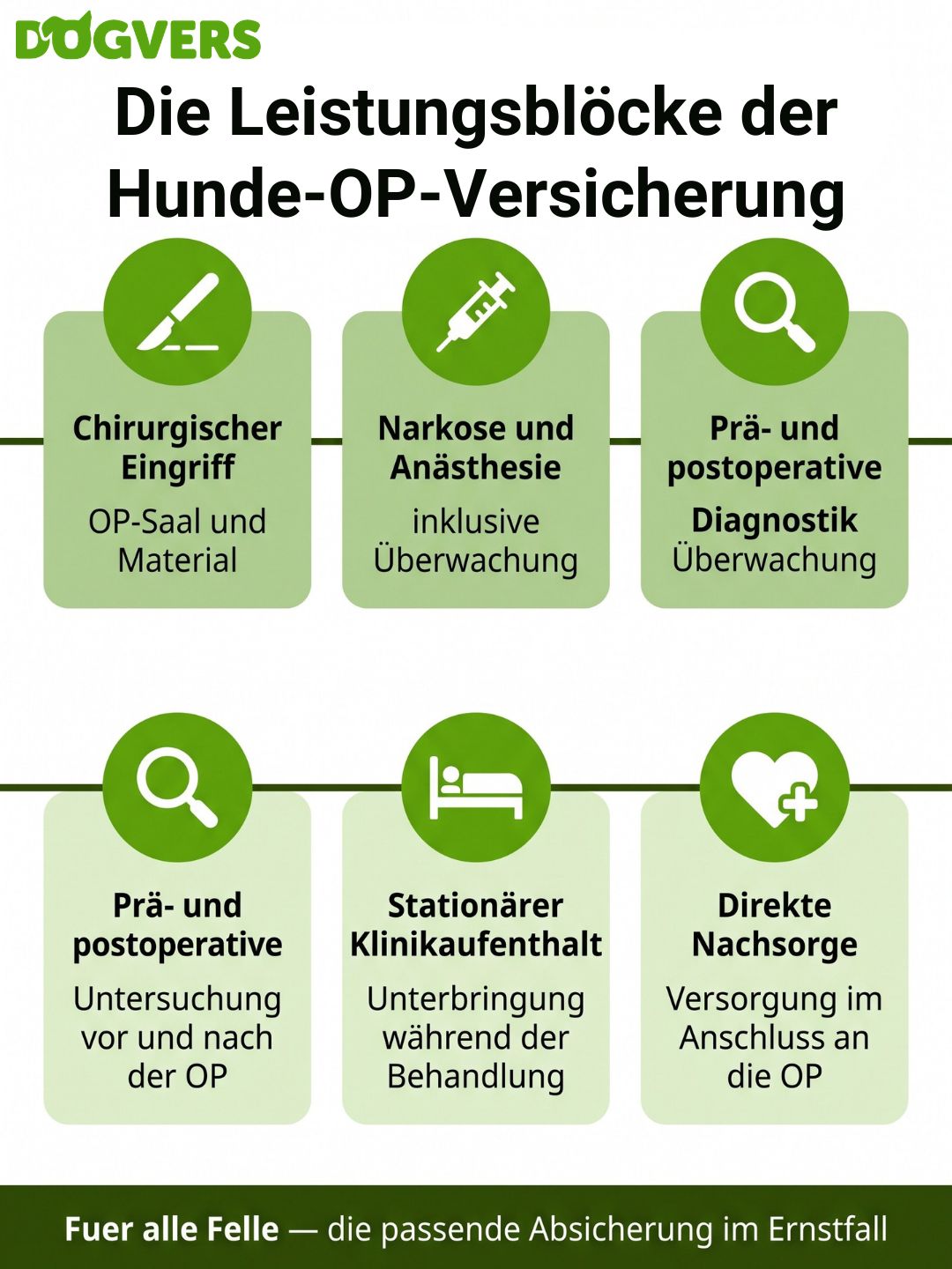 hunde-op-versicherung-leistung-uebersicht Leistungsblöcke einer Hunde-OP-Versicherung im Überblick