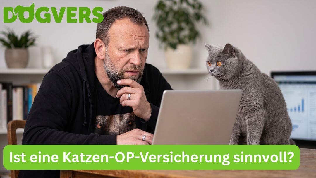 ist-eine-katzen-op-versicherung-sinnvoll Ist eine Katzen-OP-Versicherung sinnvoll?