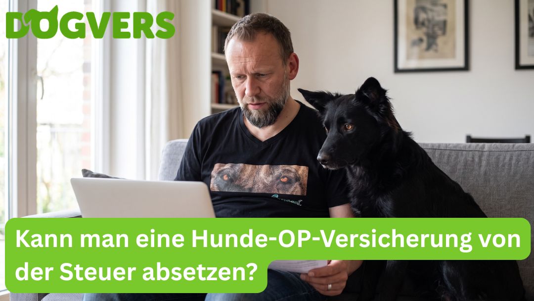 kann-man-eine-hunde-op-versicherung-von-der-steuer-absetzen Kann man eine Hunde-OP-Versicherung von der Steuer absetzen?