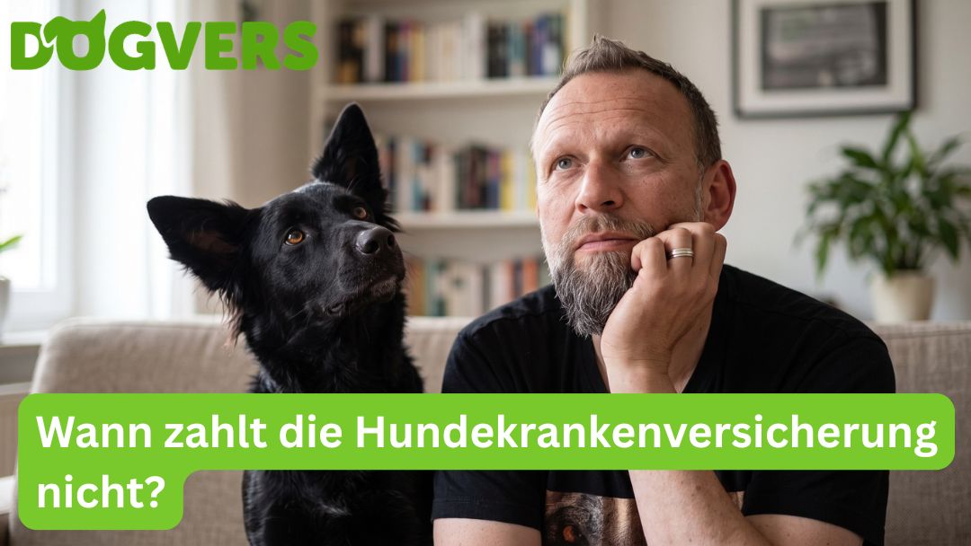 wann-zahlt-die-hundekrankenversicherung-nicht Wann zahlt die Hundekrankenversicherung nicht?