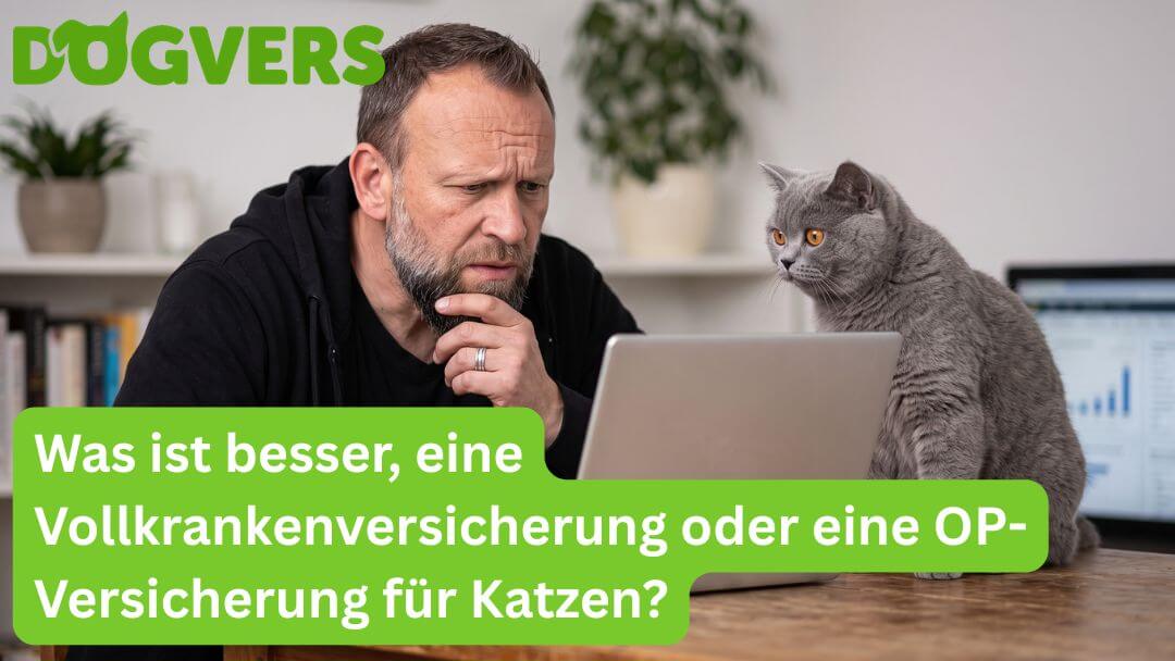 was-ist-besser-eine-vollkrankenversicherung-oder-eine-op-versicherung-fuer-katzen Was ist besser, eine Vollkrankenversicherung oder eine OP-Versicherung für Katzen?