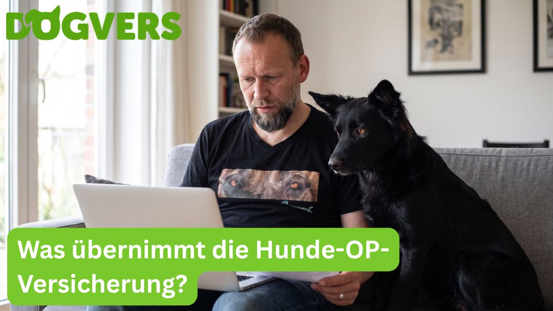 was-übernimmt-die-hunde-op-versicherung Was übernimmt die Hunde-OP-Versicherung?