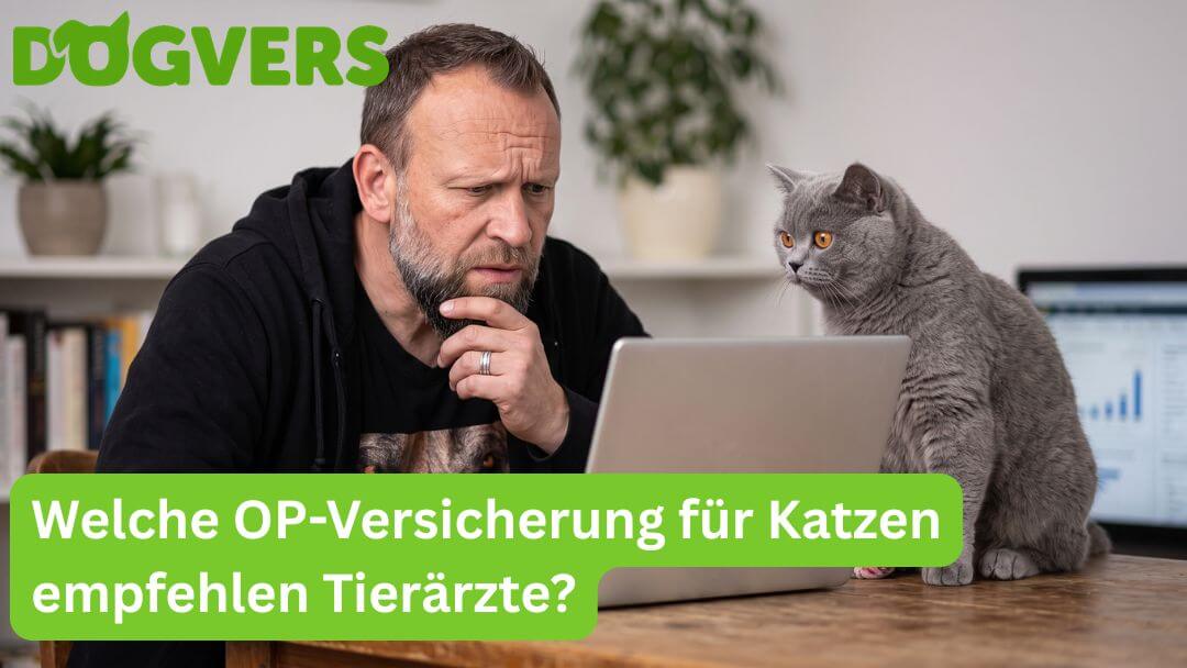 welche-op-versicherung-fuer-katzen-empfehlen-tieraerzte Welche OP-Versicherung für Katzen empfehlen Tierärzte?