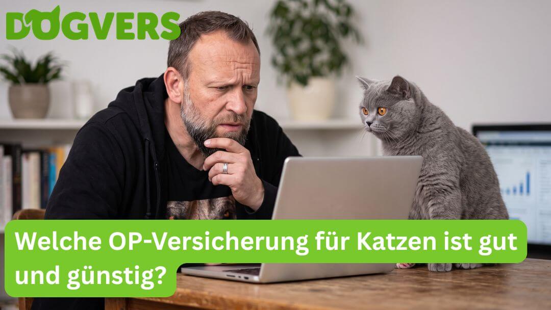 welche-op-versicherung-fuer-katzen-ist-gut-und-guenstig Welche OP-Versicherung für Katzen ist gut und günstig?