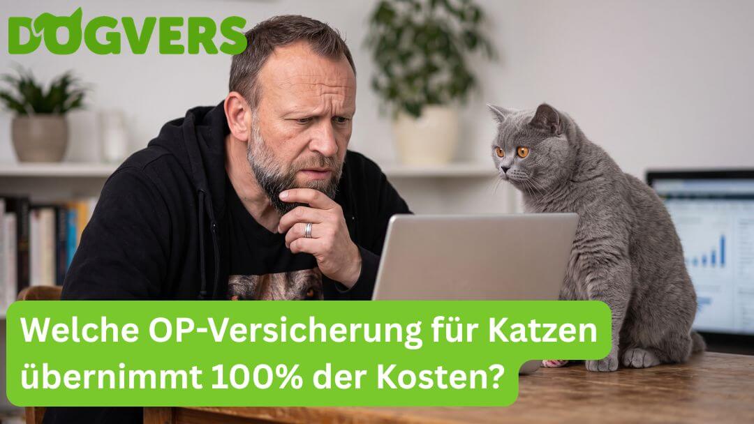 welche-op-versicherung-fuer-katzen-uebernimmt-100-prozent-der-kosten Welche OP-Versicherung für Katzen übernimmt 100% der Kosten?