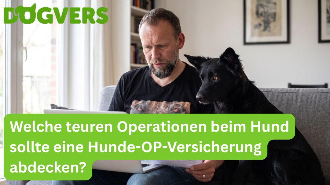 welche-teuren-operationen-beim-hund-sollte-eine-hunde-op-versicherung-abdecken Welche teuren Operationen beim Hund sollte eine Hunde-OP-Versicherung abdecken?