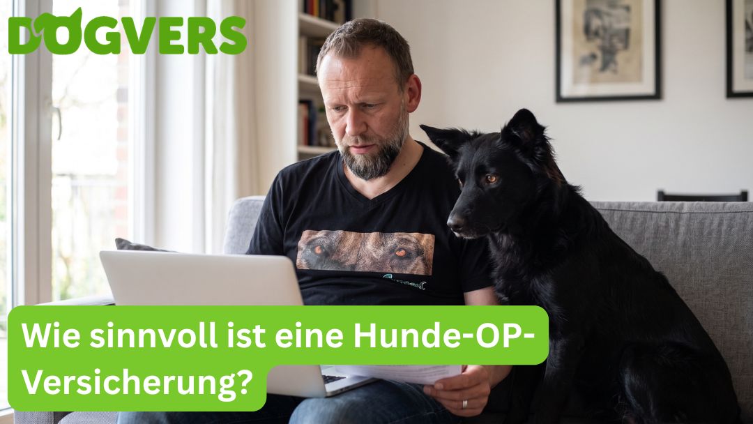 wie-sinnvoll-ist-eine-hunde-op-versicherung Wie sinnvoll ist eine Hunde-OP-Versicherung?
