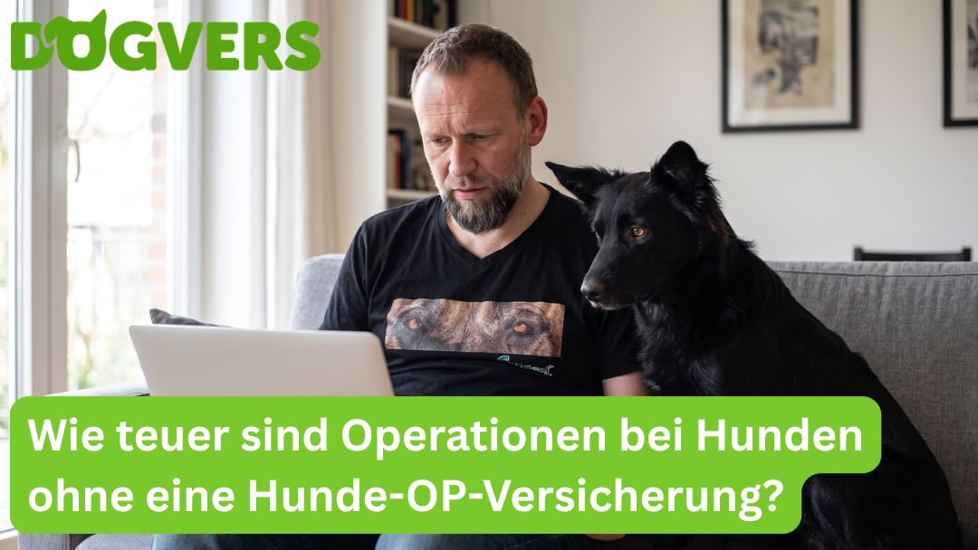 wie-teuer-sind-operationen-bei-hunden-ohne-eine-hunde-op-versicherung Wie teuer sind Operationen bei Hunden ohne eine Hunde-OP-Versicherung?