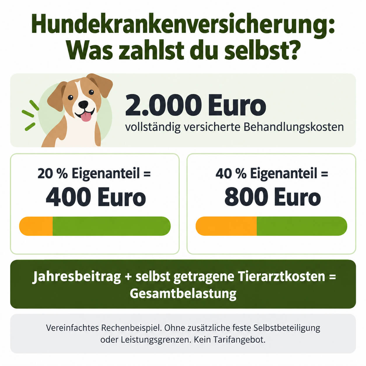 hundekrankenversicherung-eigenanteil-gesamtbelastung-rechenbeispiel Hundekrankenversicherung mit Eigenanteil und Gesamtbelastung im Rechenbeispiel