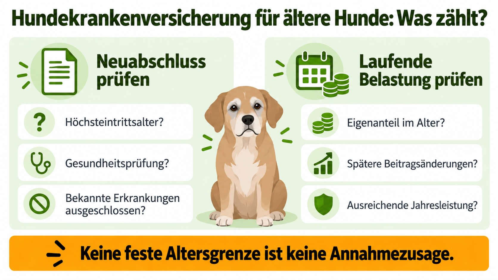 hundekrankenversicherung-aeltere-hunde-aufnahmebedingungen-eigenanteil Hundekrankenversicherung für ältere Hunde mit Aufnahmebedingungen und Eigenanteil