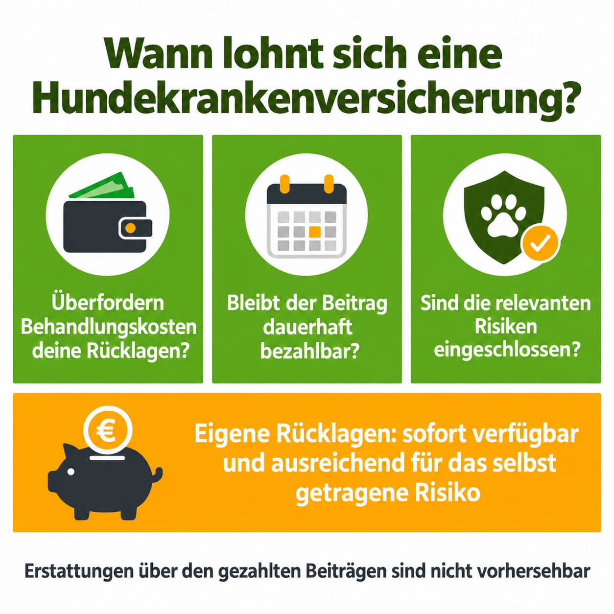 hundekrankenversicherung-ruecklagen-budget-versicherte-risiken Hundekrankenversicherung mit Rücklagen, Budget und versicherten Risiken