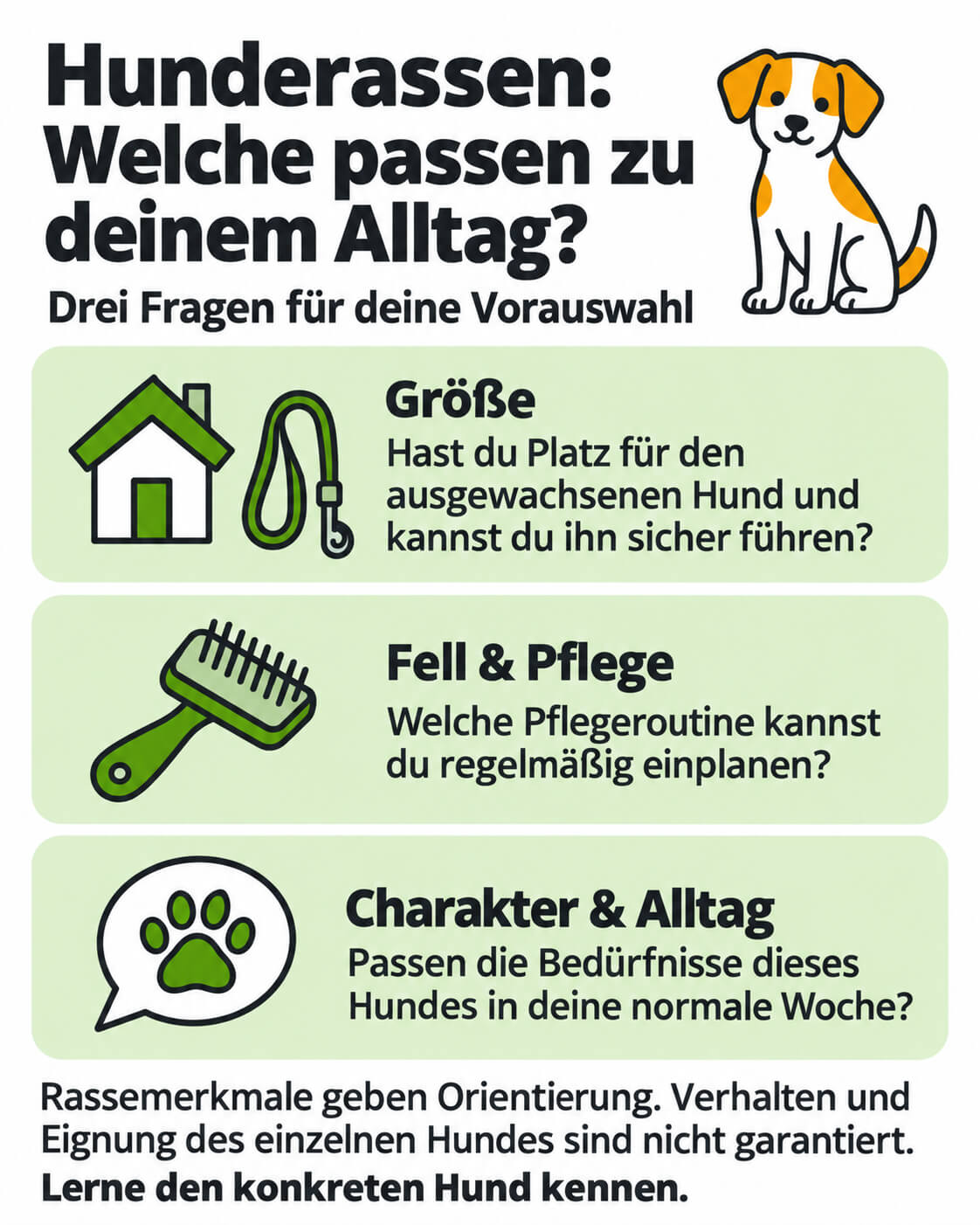 hunderassen-groesse-fell-charakter-kompass Hochkant-Prüfliste zu Hunderassen mit einem generischen Hund und drei Karten zu Größe, Fellpflege sowie den Bedürfnissen des einzelnen Hundes.