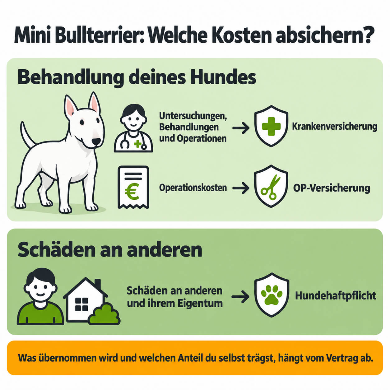 mini-bullterrier-krankenversicherung-op-versicherung-hundehaftpflicht Infografik für den Mini Bullterrier: Krankenversicherung und OP-Versicherung sind Behandlungskosten des Hundes zugeordnet, Hundehaftpflicht den Schäden an anderen und ihrem Eigentum.