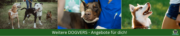 Prohunde Angebot e für dich Prohunde Angebot e fuer dich
