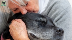 Alter hund wird von alter frau liebevoll umarmt