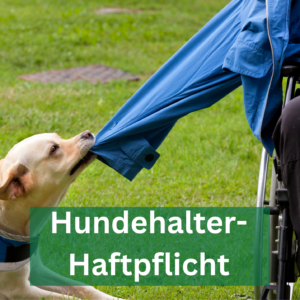 hund zerrt an Jacke hundehalterhaftpflicht