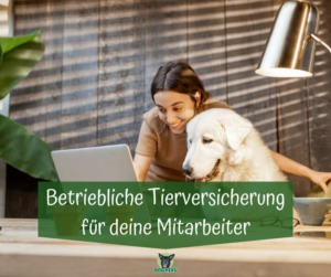 betriebliche Tierversicherung für Mitarbeiter Hund mit Frau am Laptop