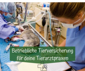 Betriebliche Tierversicherung für Tierarztpraxen Hund wird operiert mit Tierärzten