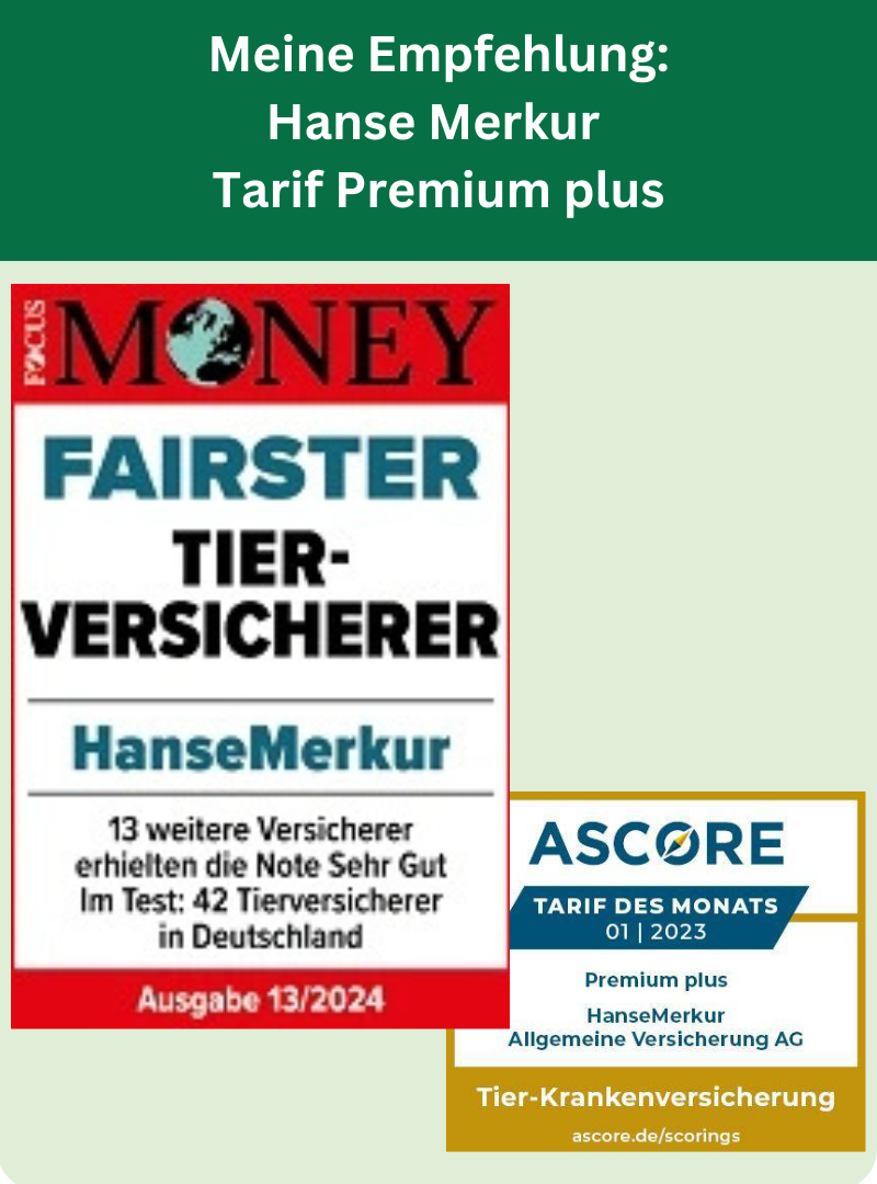 Bewertung Focus Money und ascore Hanse Merkur Hundekrankenversicherung