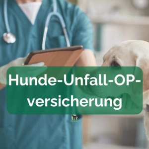 Hund beim Tierarzt mit Tablet Hunde Unfall OP Versicherung