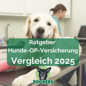 Ratgeber Hunde-OP-Versicherung Vergleich 2025 Tierversicherungen