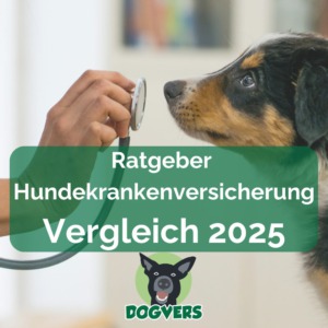 Ratgeber Hundekrankenversicherung Vergleich Hundeversicherungen