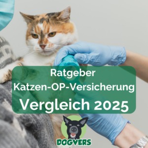 Ratgeber Katzen-OP-Versicherung Katze beim Tierarzt Untersuchung Tierversicherung Vergleich