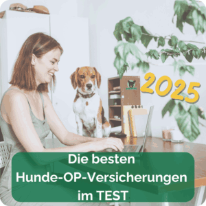 Beste Hunde OP Versicherung im Test American Pitbull Terrier