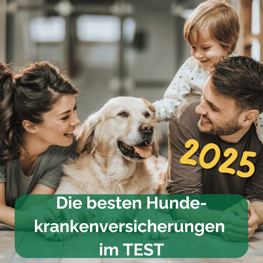 Hundekrankenversicherung Fur 2 Hunde
