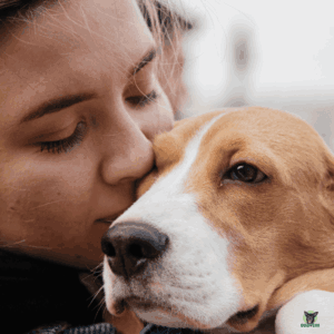 Besitzern und Beagle sind glücklich über viel Bewegung, was für die Gesundheit sehr wichtig ist