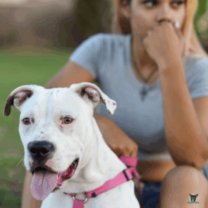 Frauchen mit Listenhund geht die Prüfungsfragen für den Sachkundenachweis im Kopf nochmal durch