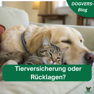 Tierversicherung oder Rücklagen: So triffst du die richtige Entscheidung