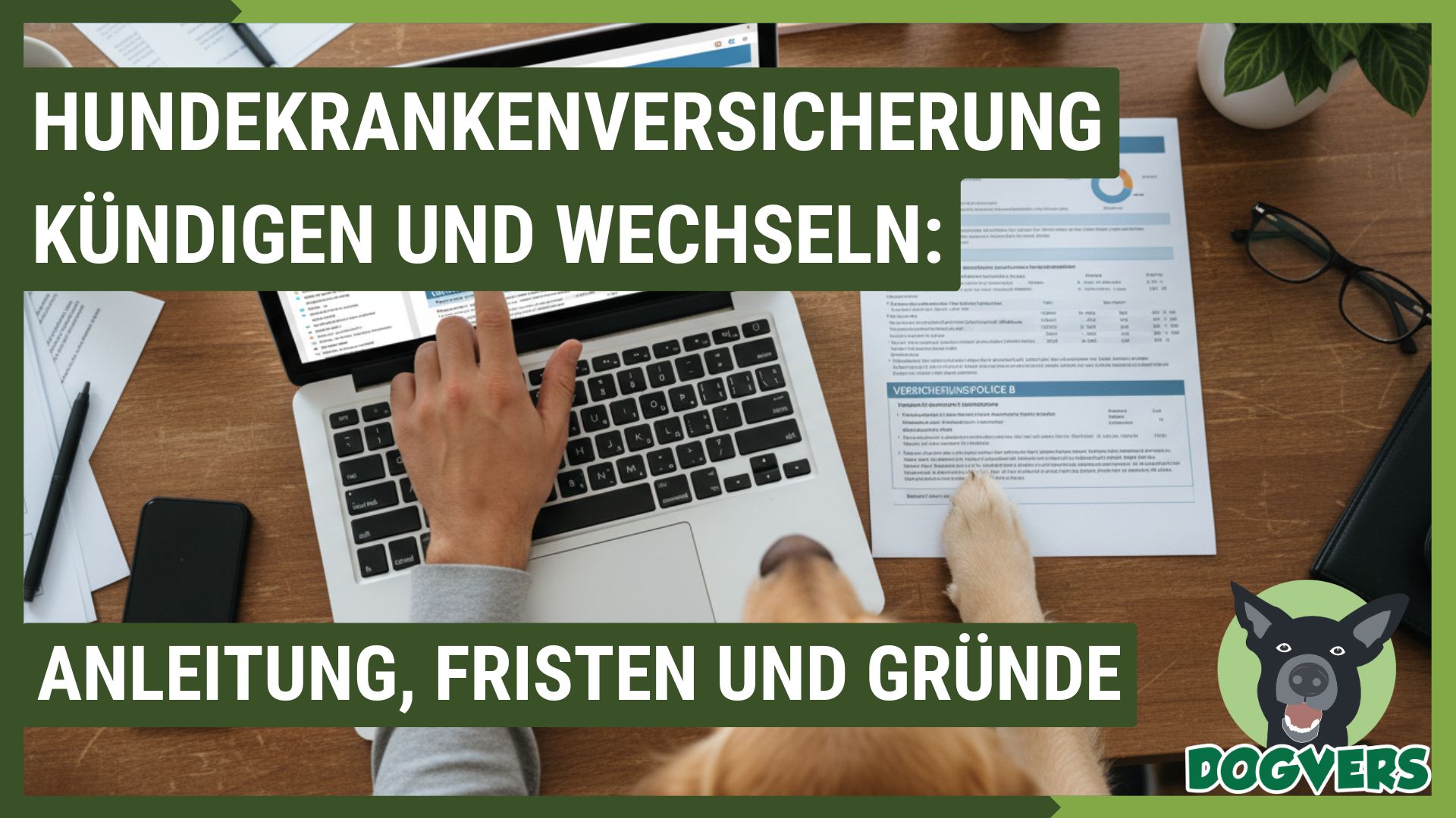 Hundekrankenversicherung Und Op Versicherung