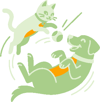 V4 SpielendHundUndKatz