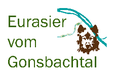 Eurasier vom Gonsbachtal